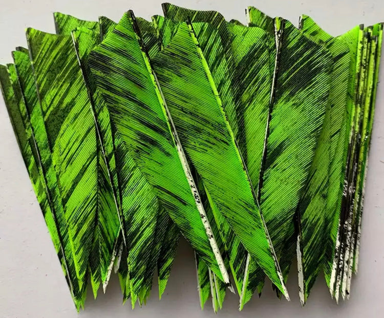 All Archery products